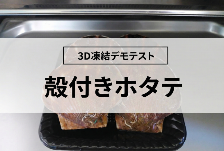 3D凍結デモテストに使用する殻付きホタテ（冷凍前）の写真