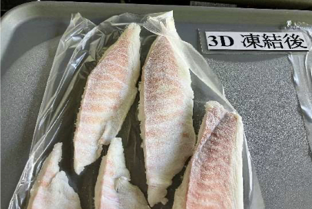 急速冷凍されたトレーに並べられたたくさんの鯛のサク