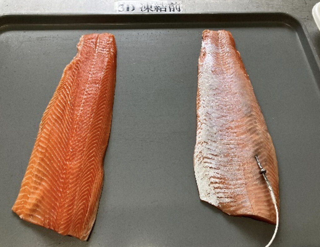 トライに並べられた2枚の冷凍前の鮭フィレ