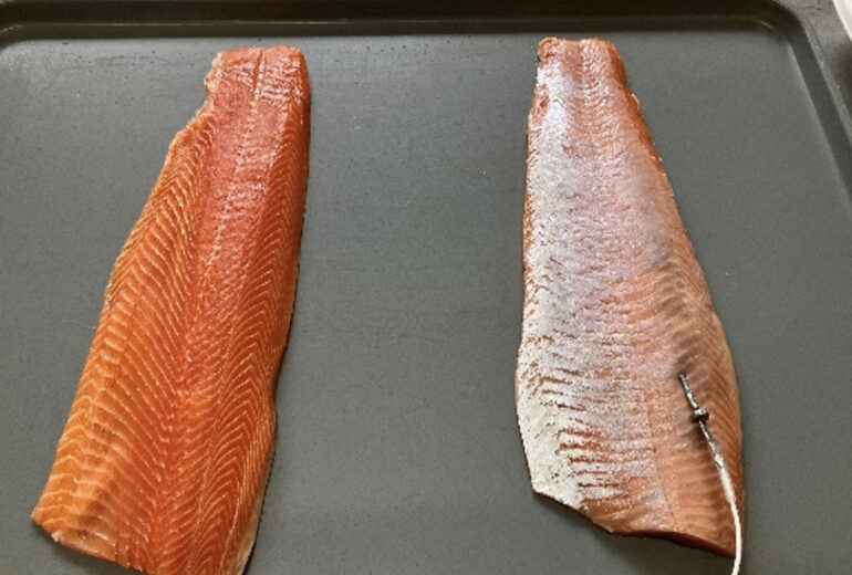 トライに並べられた2枚の冷凍前の鮭フィレ