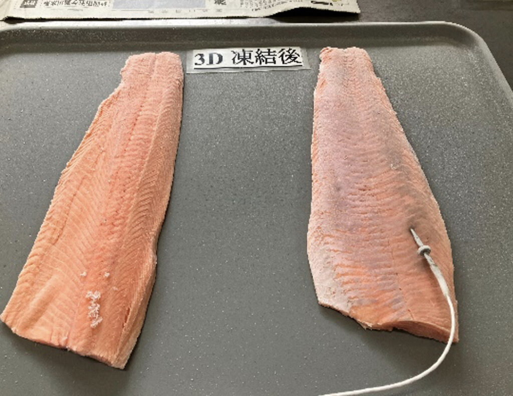トライに並べられた2枚の冷凍後の鮭フィレ