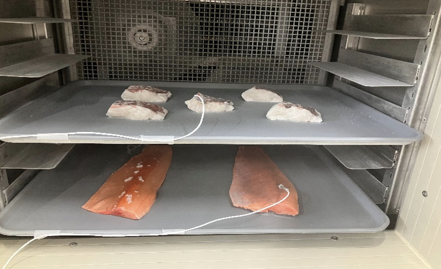 3Dフリーザー出張デモ機の中に投入されたトライに並べられた2枚の冷凍後の鮭フィレ（拡大）
