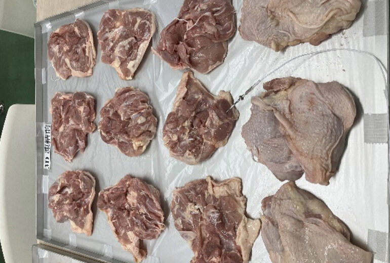 トレーに並べられた冷凍前の鶏もも肉