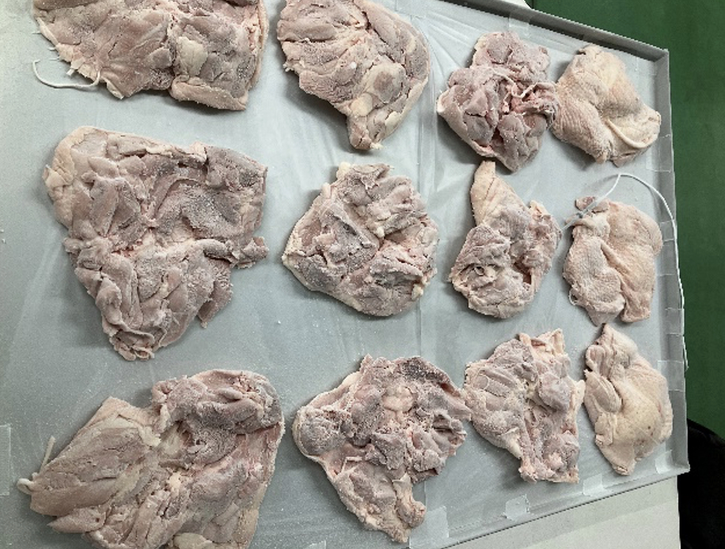 アルミトレー上に急速冷凍後の鶏もも肉を一枚ずつ並べた様子。表面は白く凍り、皮面と肉面の輪郭が見える