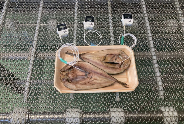 トンネルフリーザーのベルトに載せられたトレイ入りのほっけ（冷凍前）