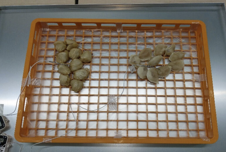 トレーの上に水餃子、小籠包が入った番重が乗せられている（冷凍前）