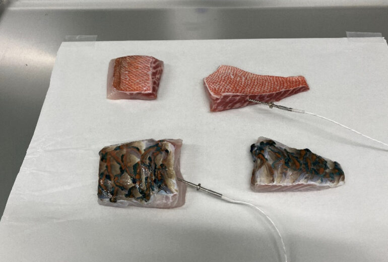 トレーの上に乗せられた幻の魚「アカメ」と地方の味「ブダイ」