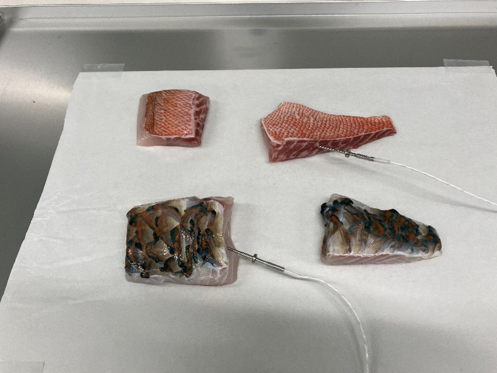 トレーの上に乗せられた幻の魚「アカメ」と地方の味「ブダイ」