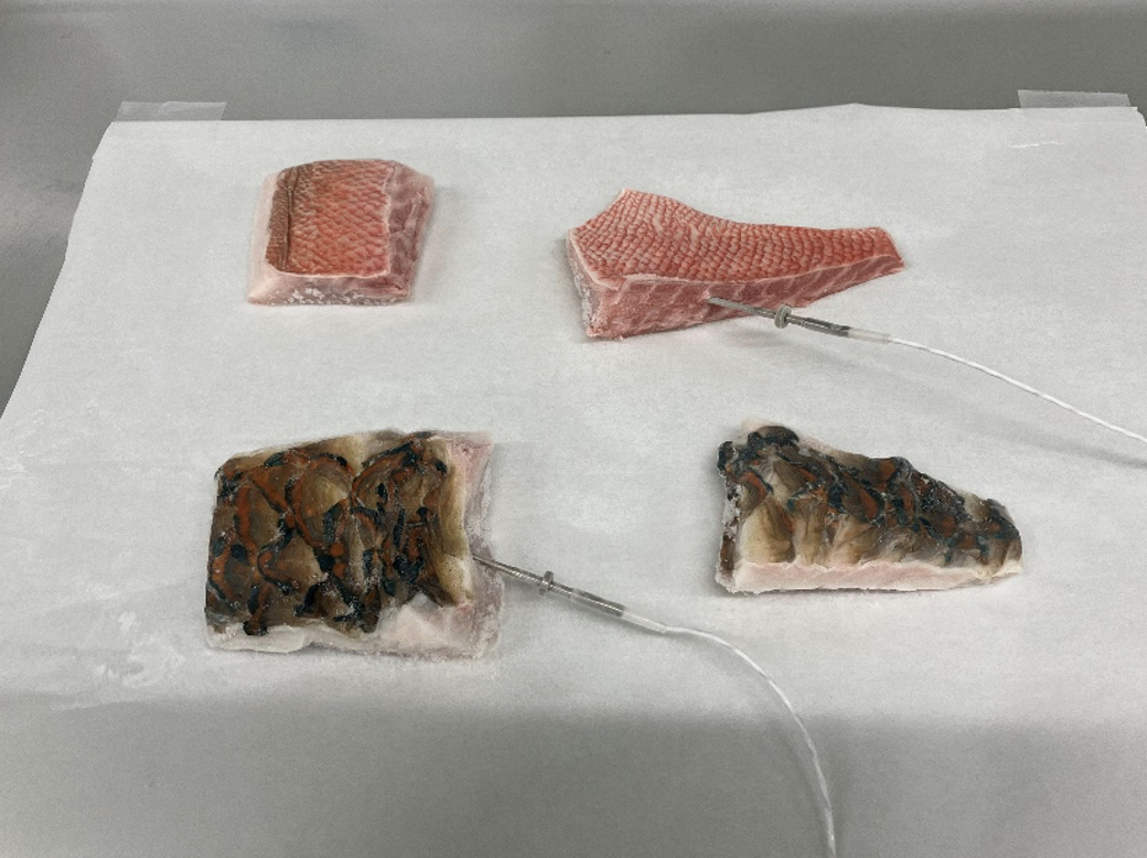 白いシート上に霜の付いたアカメとブダイの皮付き切り身4点が並び、右上と左下へ測温センサーを差し込んだ凍結後のトレー