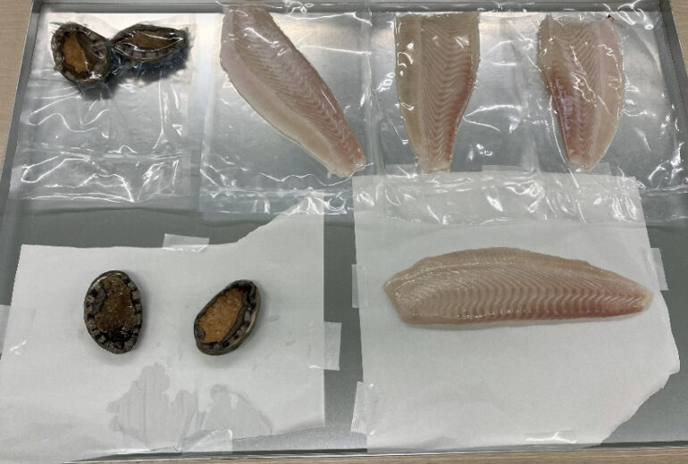 トレーに載せられたあわびとひらめ