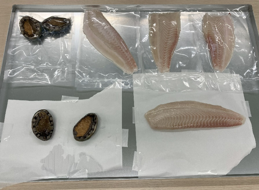 トレーに載せられたあわびとひらめ