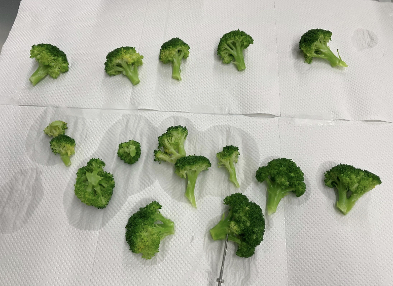 ブランチング後のブロッコリーをトレイの上に並べた状態