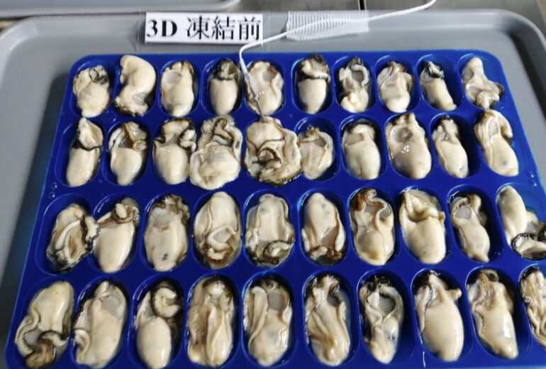 トレーに載せられたたくさんのむき身の牡蠣