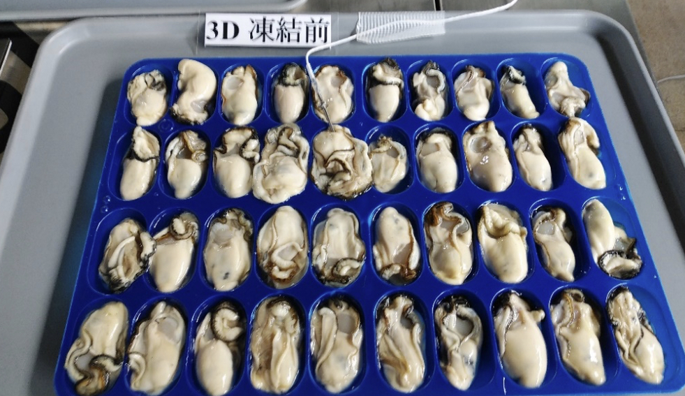 トレーに載せられたたくさんのむき身の牡蠣