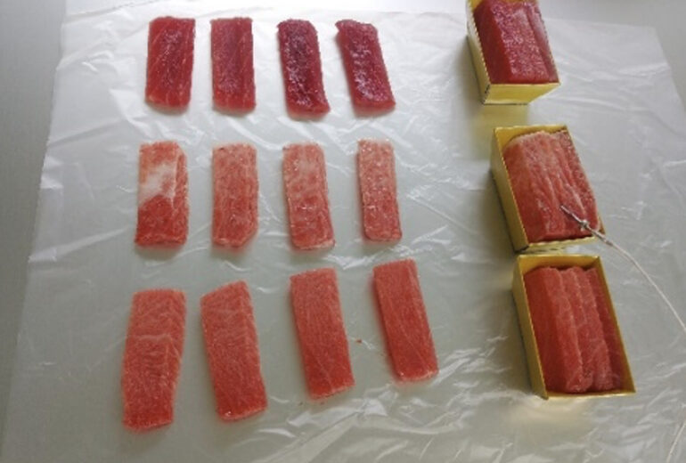 トレーに並べられた綺麗なマグロ