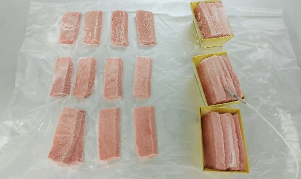 トレーに並べられた急速冷凍後の綺麗なマグロ