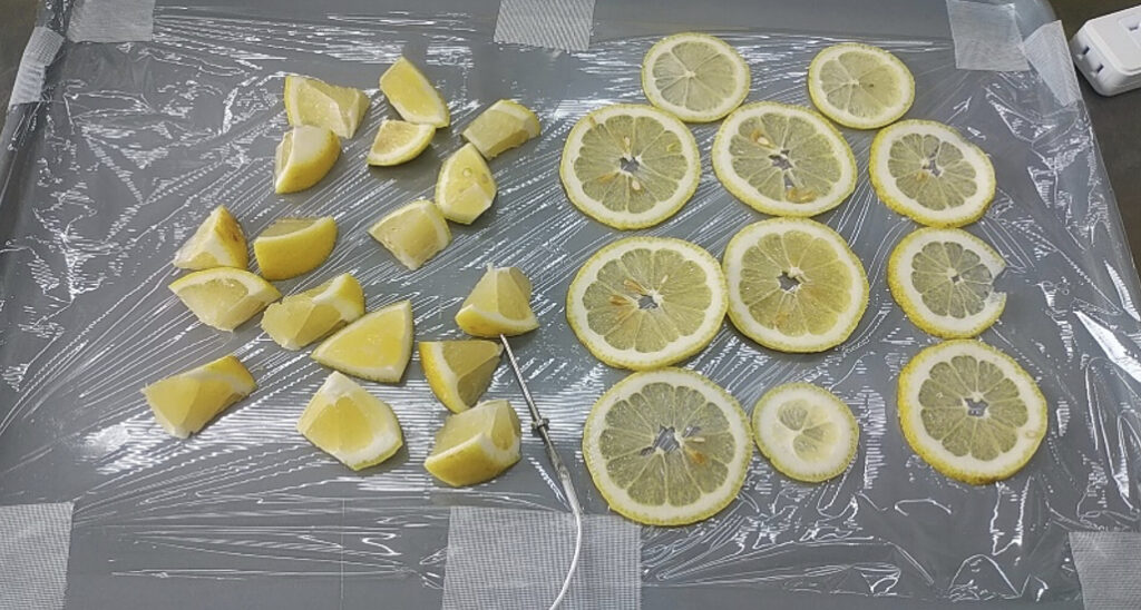 トレーに並べられた様々なカットレモン