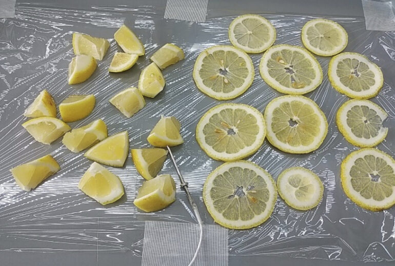 トレーに並べられた様々なカットレモン