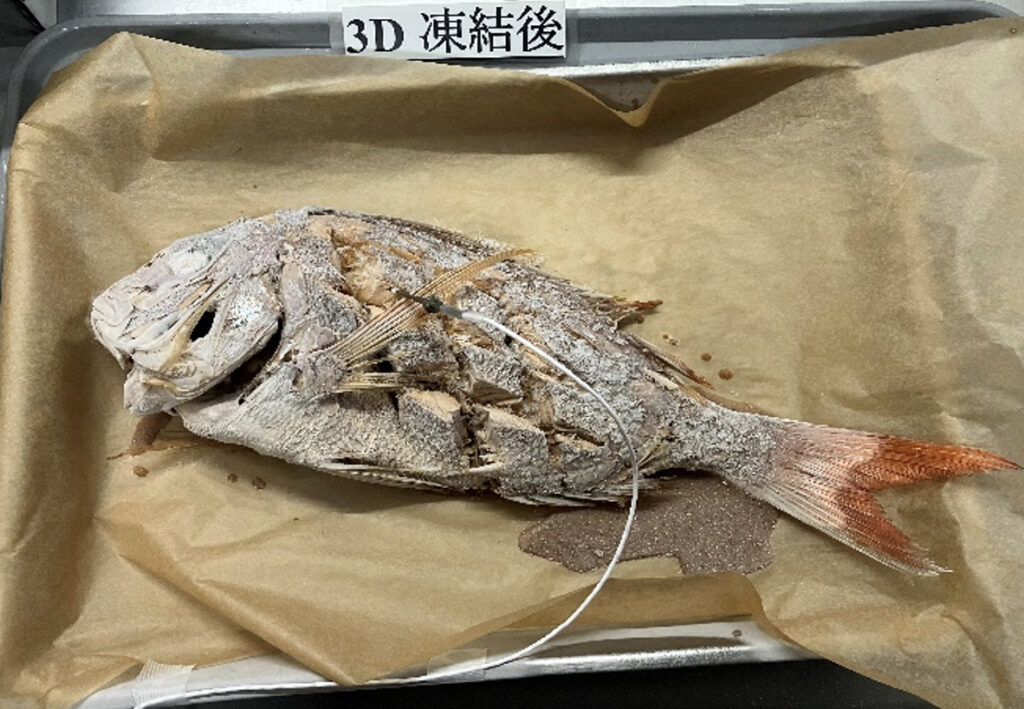 急速冷凍されたトレーに載せられた鯛の煮付け