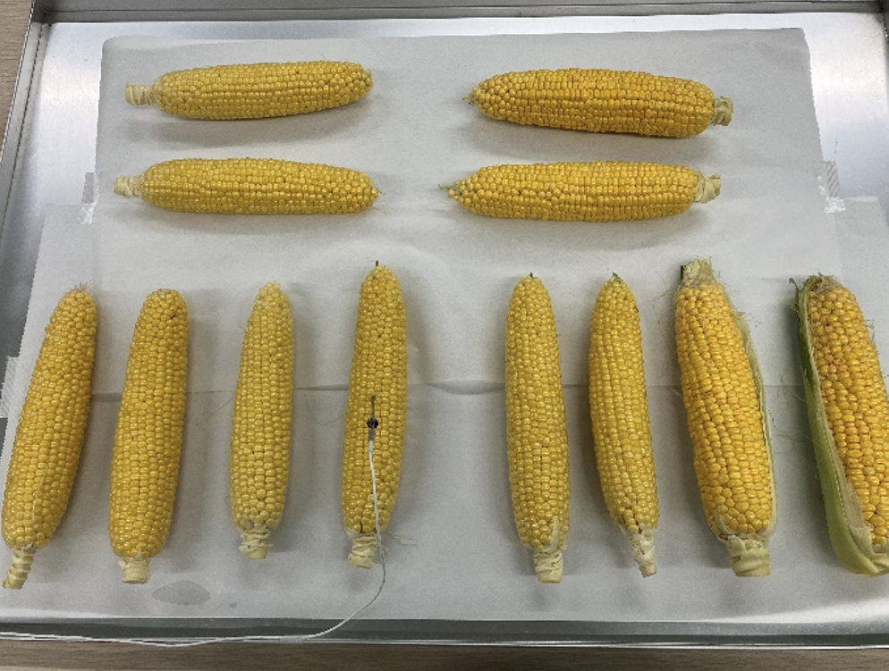 トレーに並べられたとうもろこし
