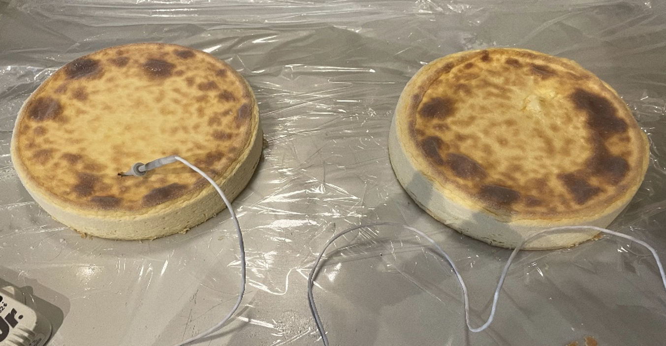 ラップを敷いたステンレス台に焼き色の付いた丸いチーズケーキを2台並べ、左のホールへ温度プローブを差し、右のホール付近にも白いコードが伸びる様子