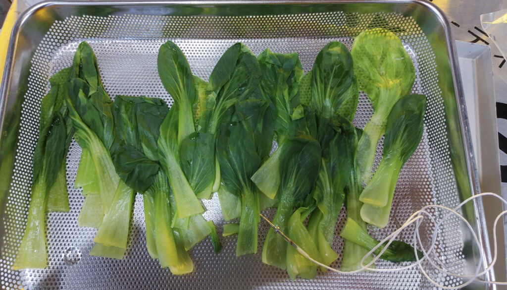 トレーに盛り付けられたボイル後の青梗菜