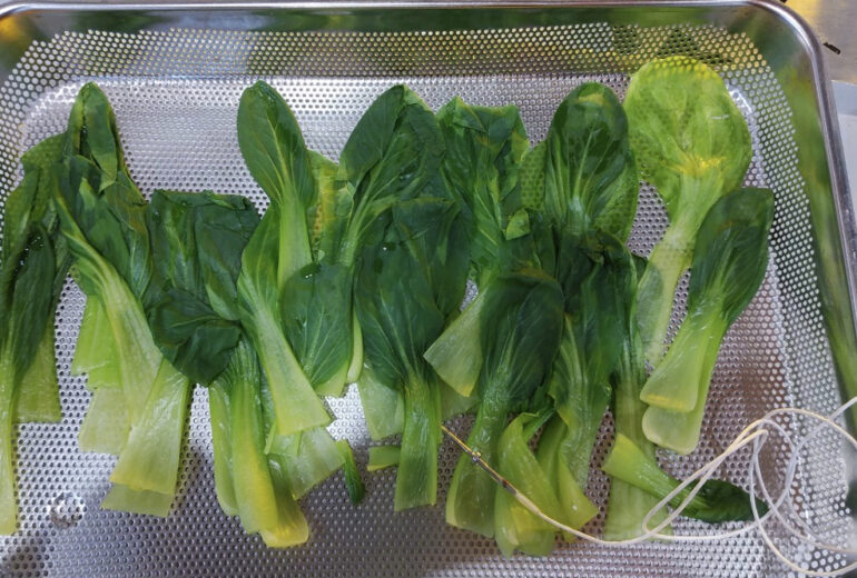 トレーに盛り付けられたボイル後の青梗菜