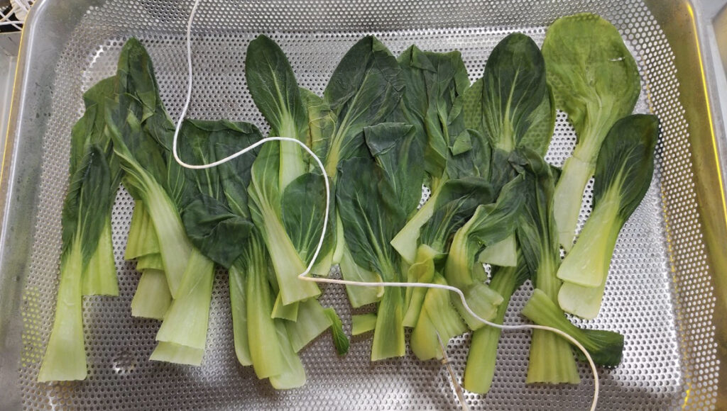 急速冷凍されたトレーに盛り付けられたボイル後の青梗菜