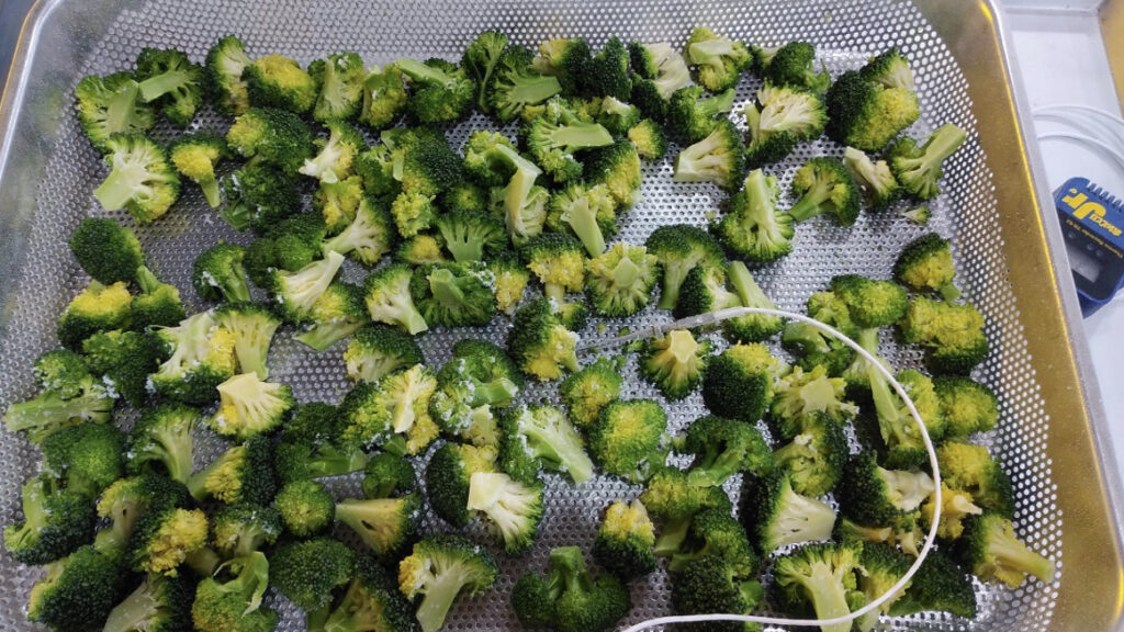 急速冷凍されたトレーに盛り付けられたボイル後のブロッコリー