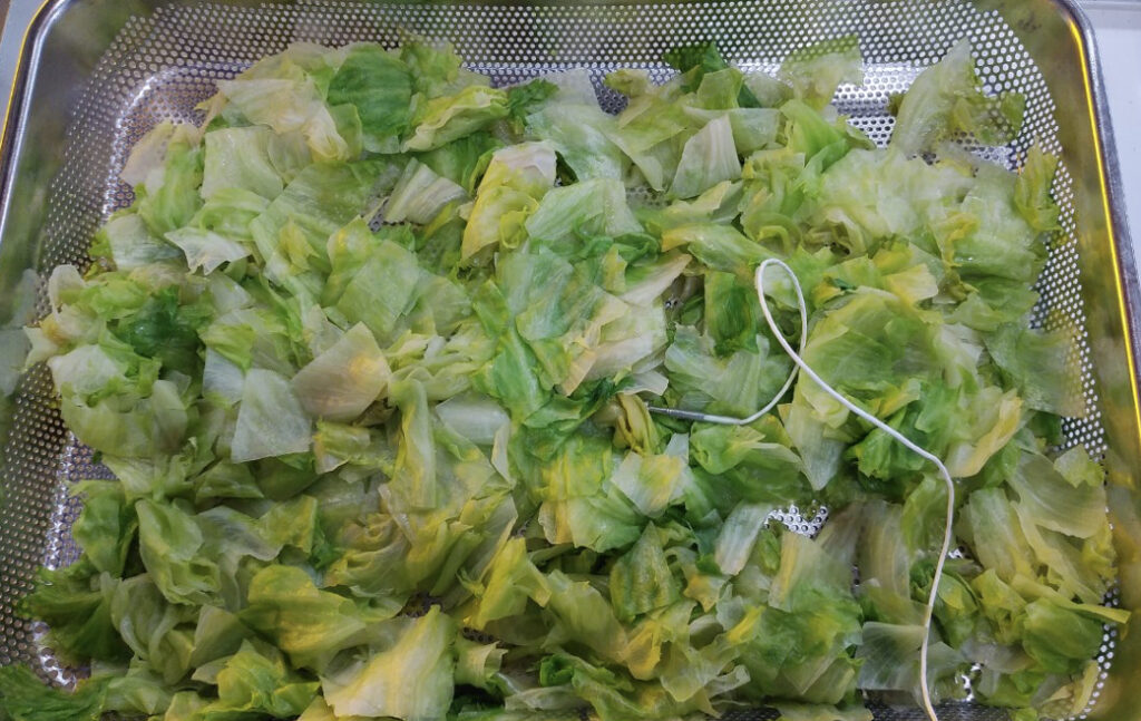 トレーに盛り付けられたボイル後のレタス