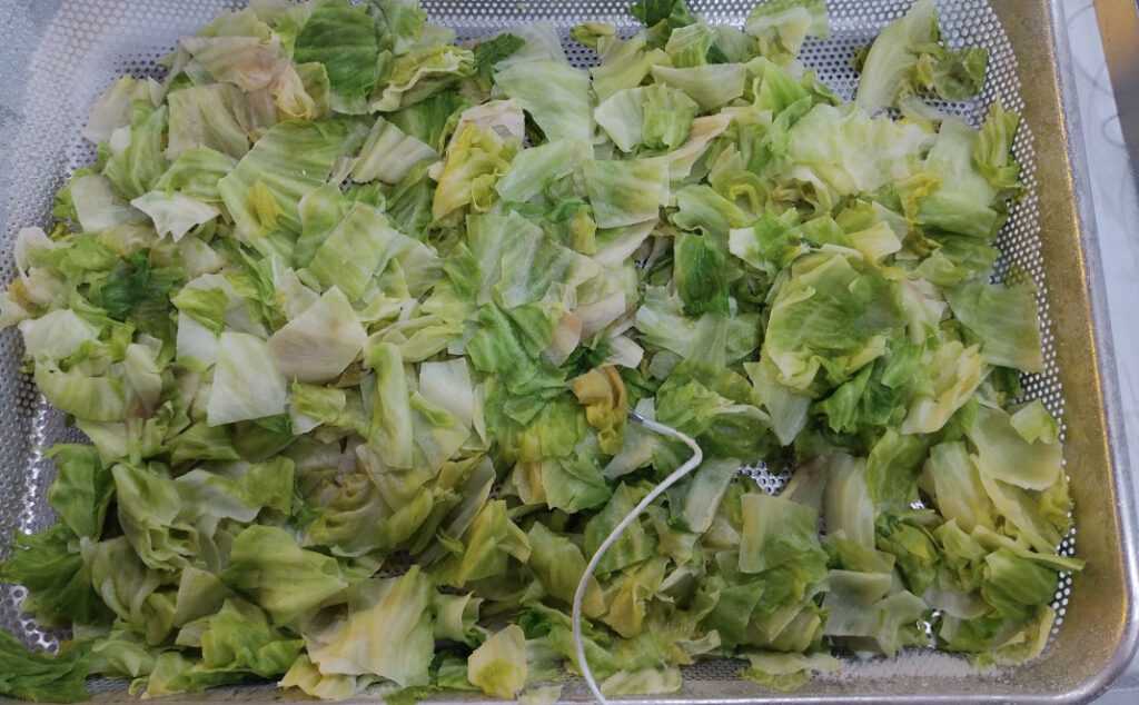 急速冷凍されたトレーに盛り付けられたボイル後のレタス