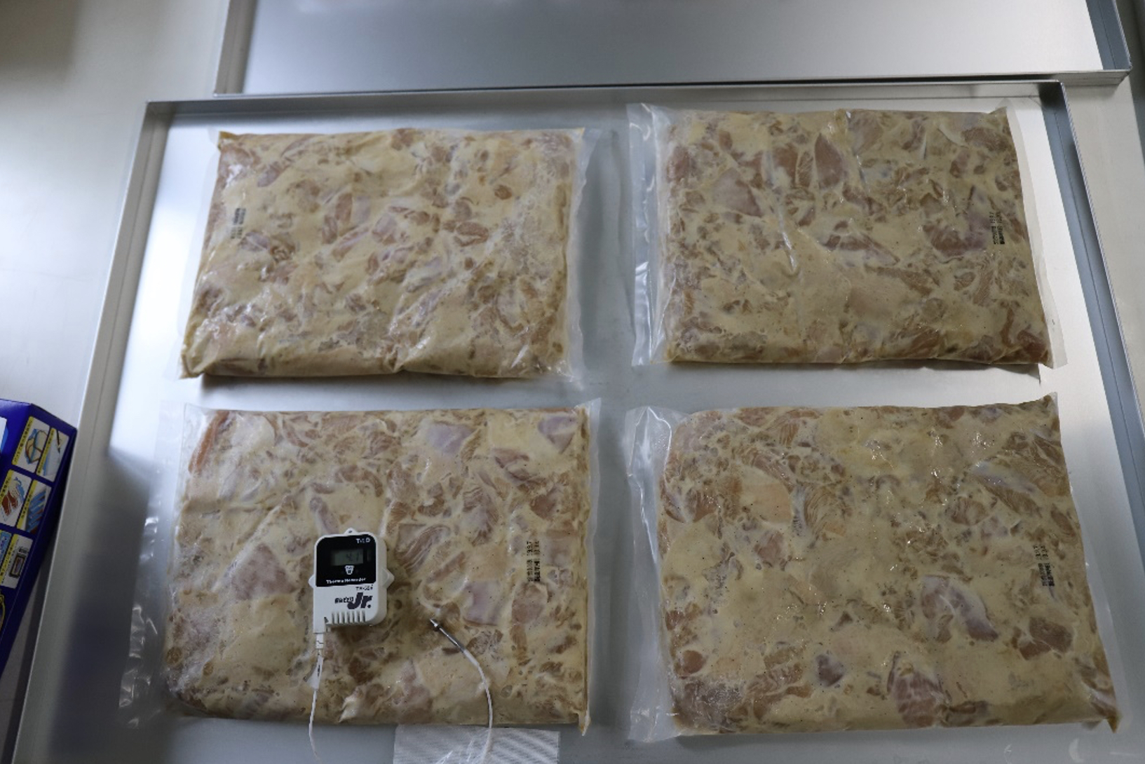 アルミトレーに透明袋入りの調味済み鶏肉パック4袋を平らに並べ、手前左の袋へ温度センサーを差し込んだ様子