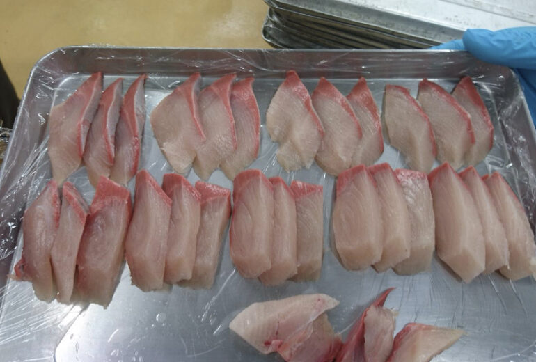 トレーにのせられたたくさんのぶりの切り身