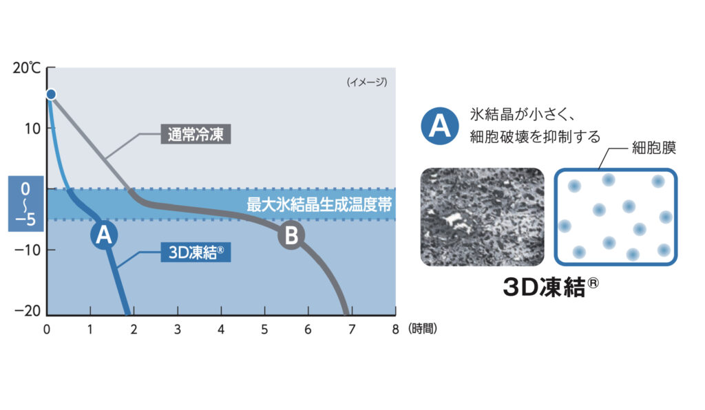 急速冷凍の温度曲線と氷結晶の写真