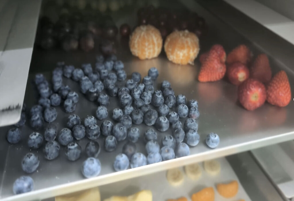 急速冷凍機の中に果物(フルーツ)がたくさん入っている