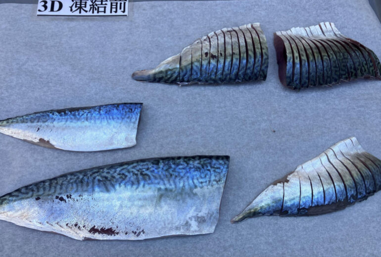 トレーに載せられた鯖