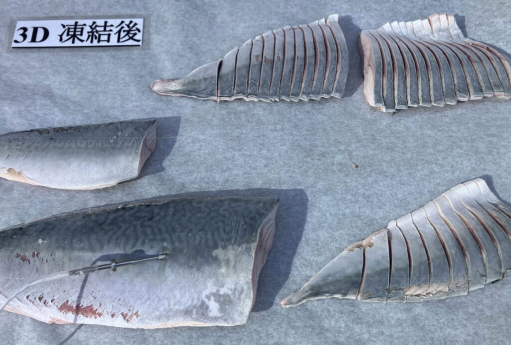 トレーに載せられた急速冷凍された鯖