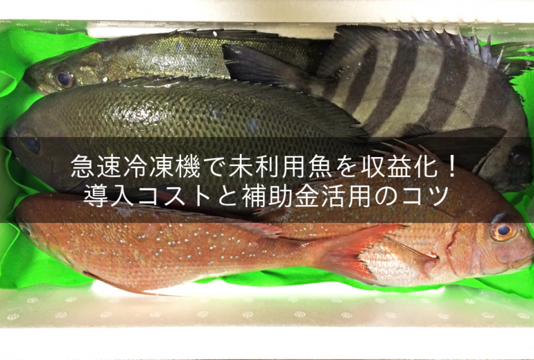 未利用魚の詰め合わせ