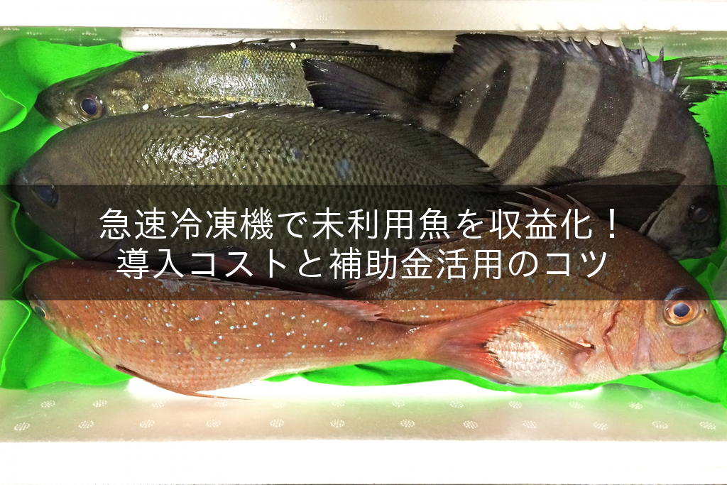 未利用魚の詰め合わせ