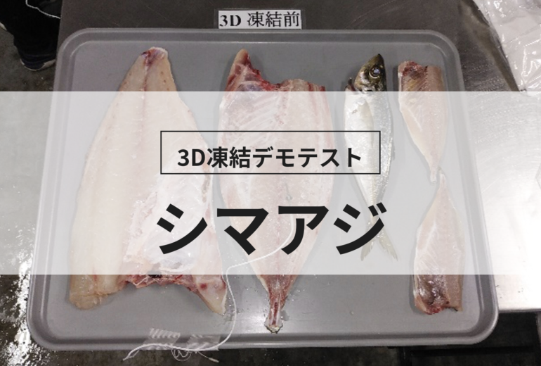 3D凍結デモテストに使用するシマアジ（冷凍前）の写真