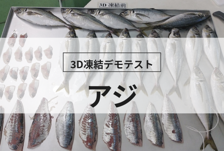 3D凍結デモテストに使用するアジ（冷凍前）の写真