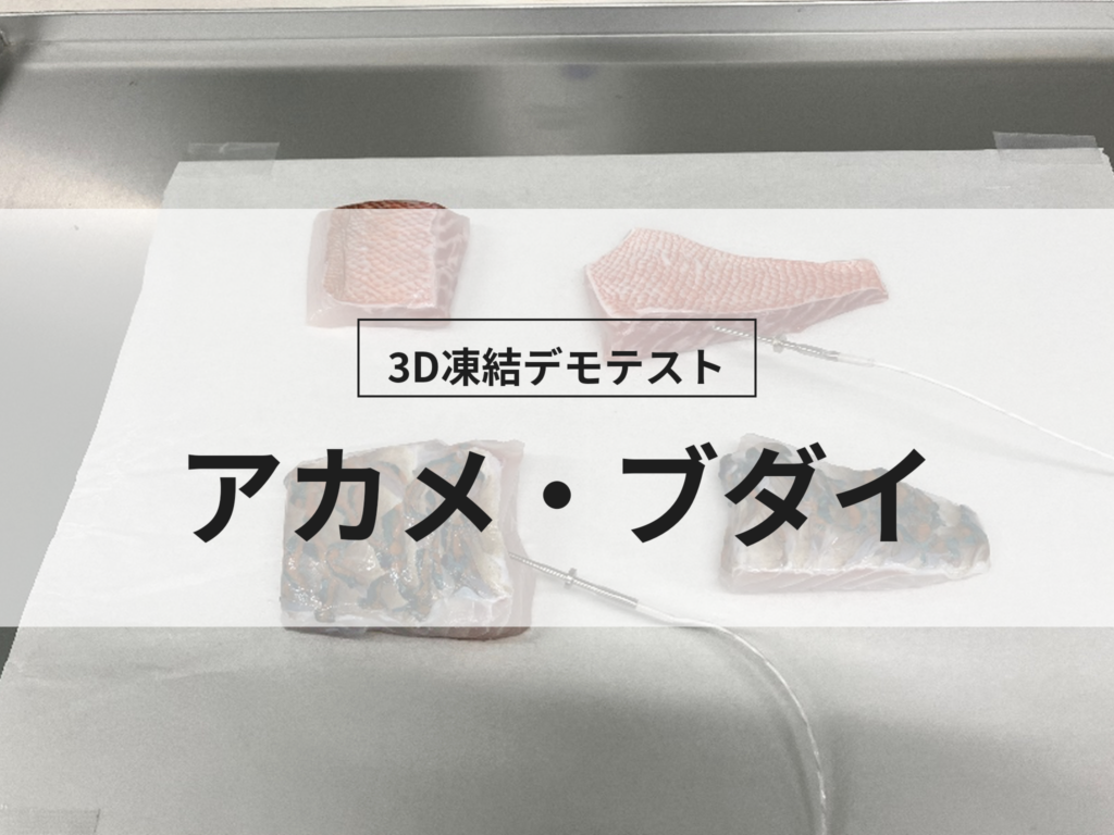 3D凍結デモテストに使用するアカメ・ブダイ（冷凍前）の写真