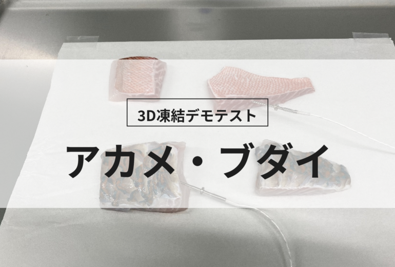 3D凍結デモテストに使用するアカメ・ブダイ（冷凍前）の写真