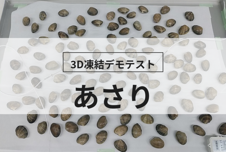 3D凍結デモテストに使用するあさり（冷凍前）の写真