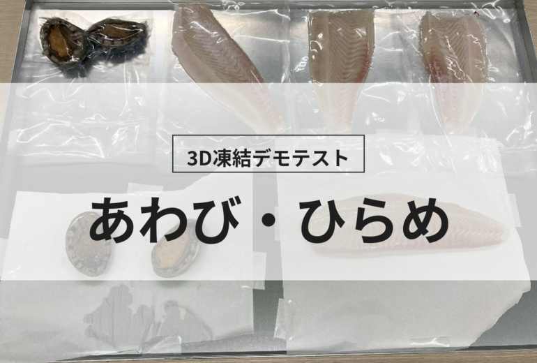 3D凍結デモテストに使用するあわび・ひらめ（冷凍前）の写真