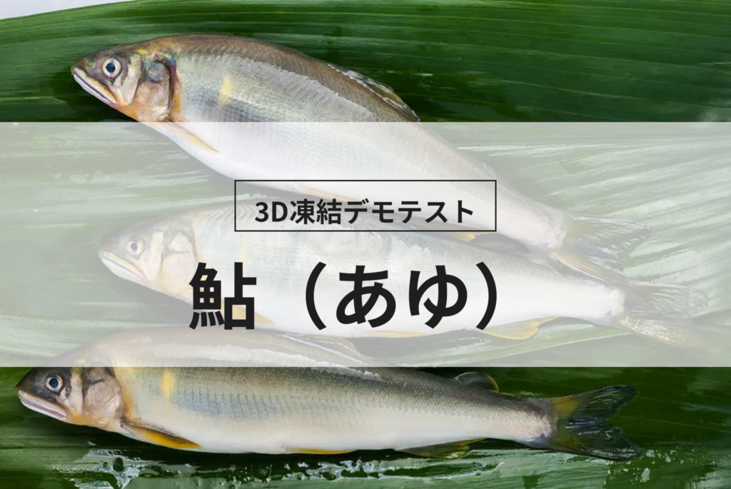 3D凍結デモテストに使用するあゆ（冷凍前）の写真
