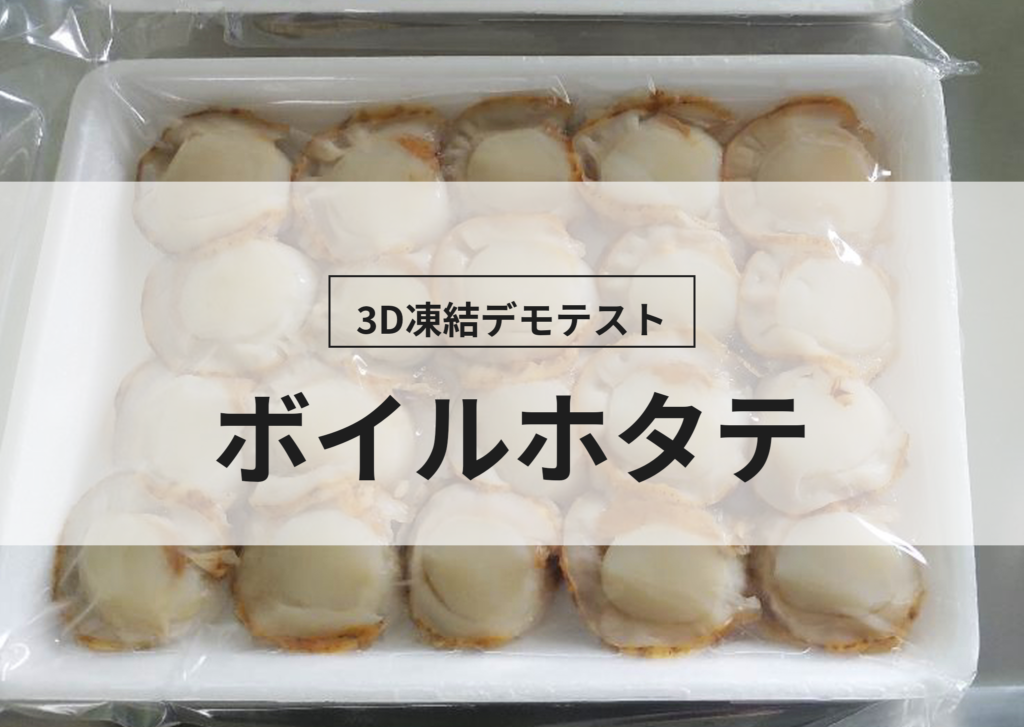 3D凍結デモテストに使用するボイルホタテ（冷凍前）の写真