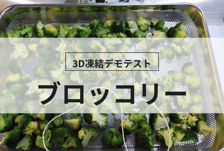 3D凍結デモテストに使用するブロッコリー（冷凍前）の写真