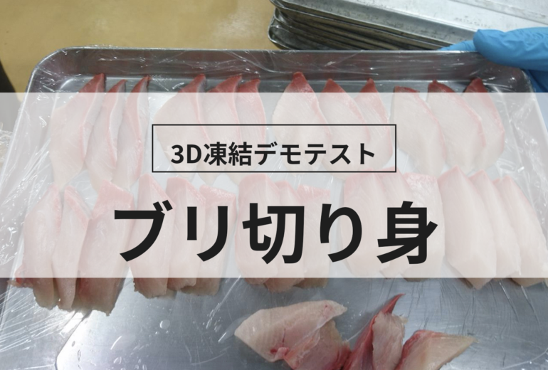 3D凍結デモテストに使用するブリの切り身（冷凍前）の写真