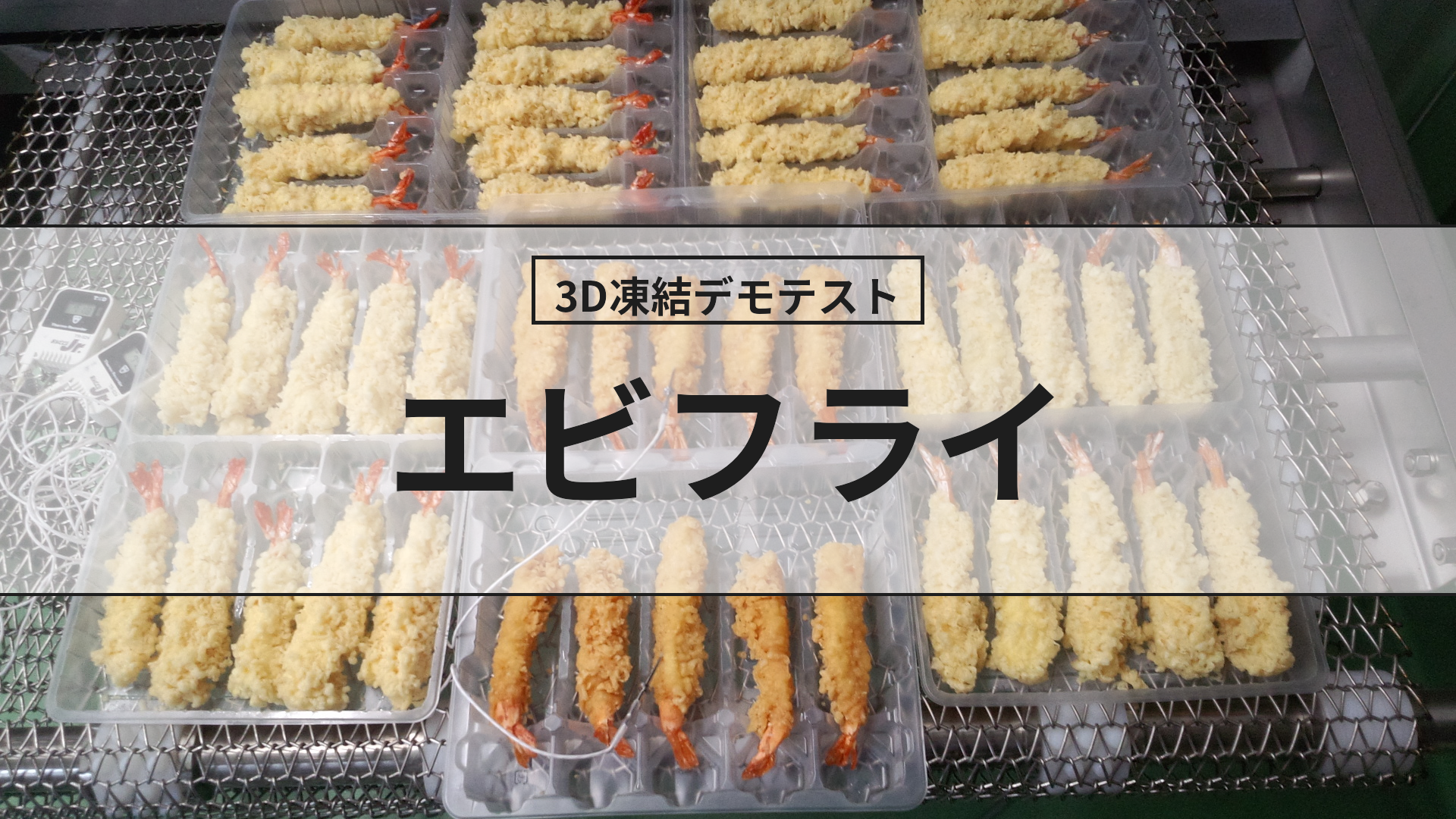 3D凍結デモテストに使用するエビフライ（冷凍前）の写真